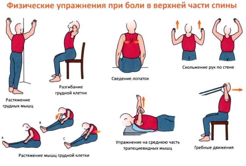 Грыжа позвоночника упражнения рисунками.