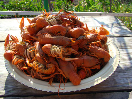 Раки